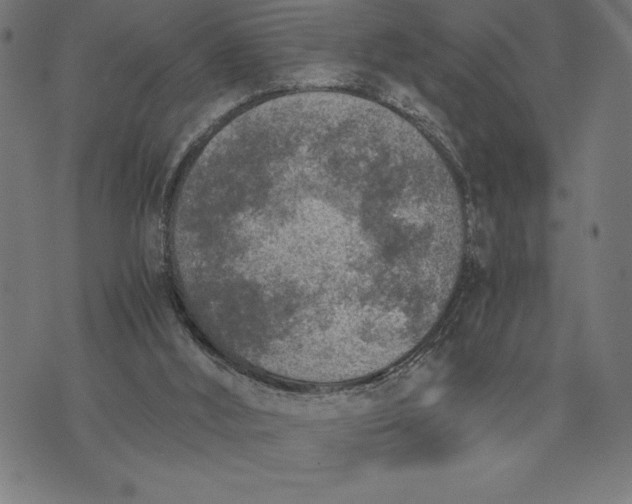 X0000073530012200608211841