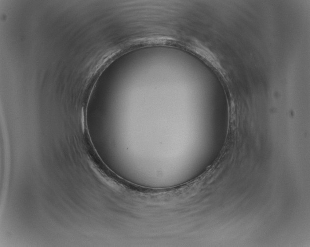 X0000073530013200608211841