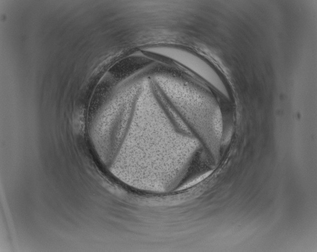 X0000073530017200608211841