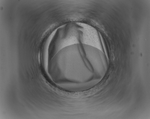 X0000073530019200608211841