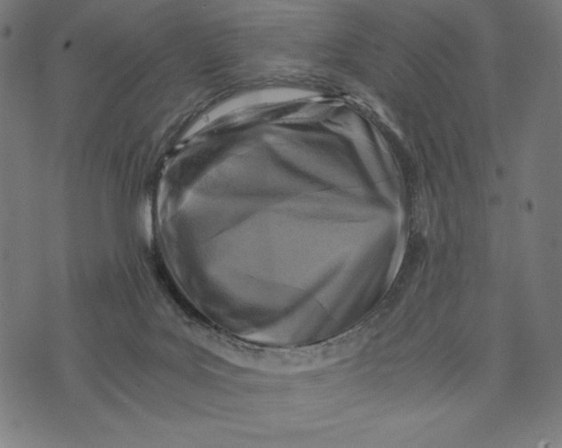 X0000073530027200608211841