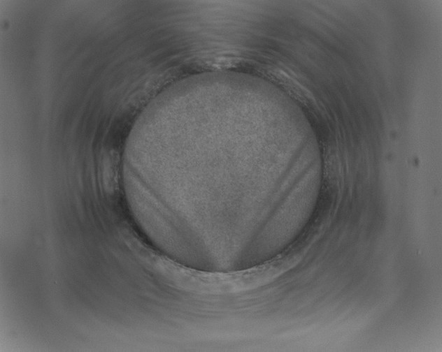 X0000073530030200608211841