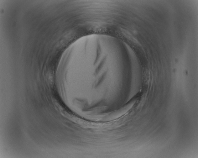 X0000073530039200608211841