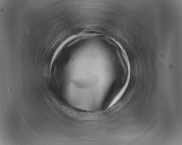 X0000073530044200608211841