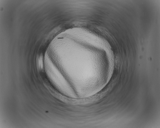 X0000073530046200608211841