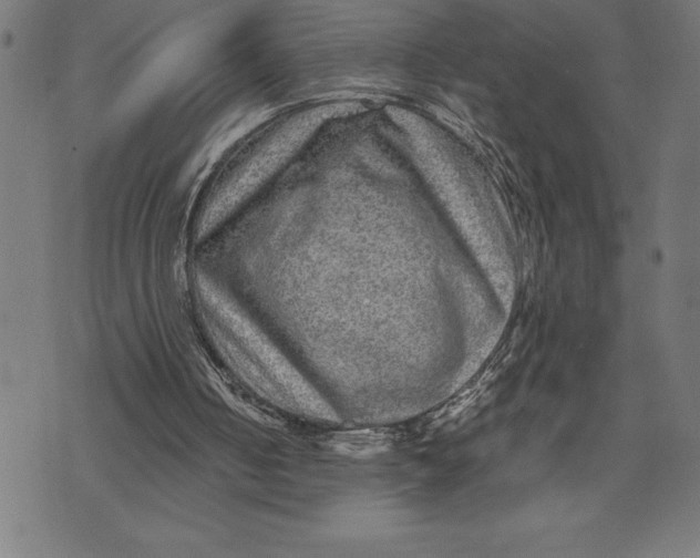 X0000073530050200608211840