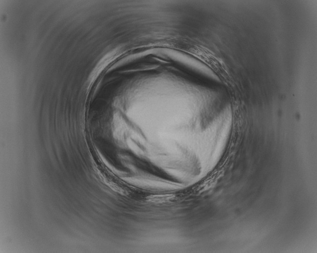 X0000073530051200608211840