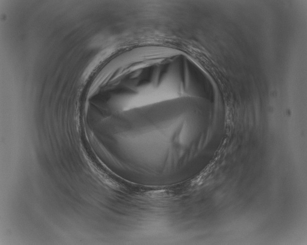 X0000073530054200608211840