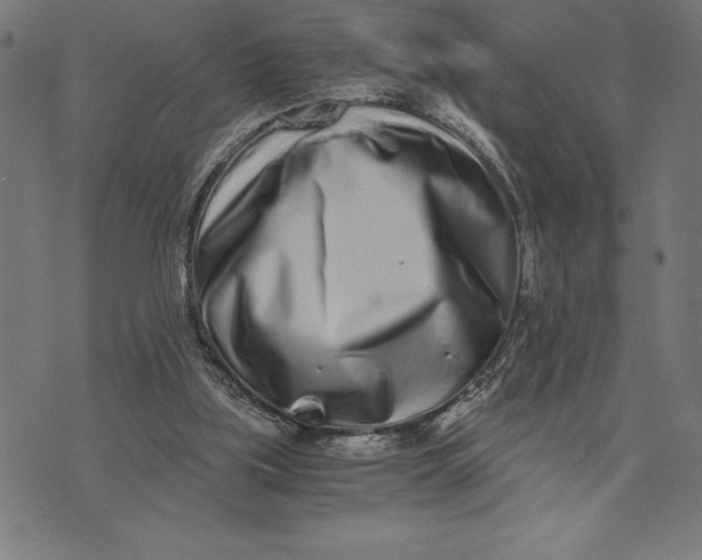 X0000073530059200608211840