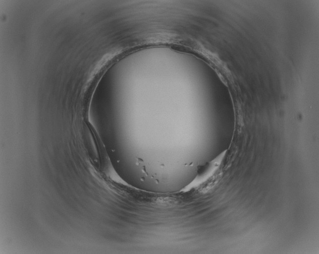 X0000073530060200608211840