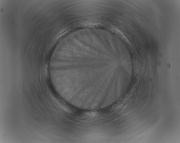 X0000073530071200608211840