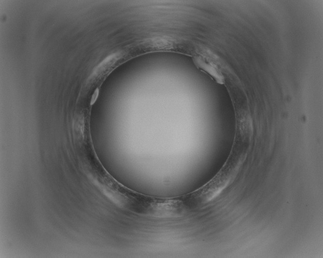 X0000073530072200608211840