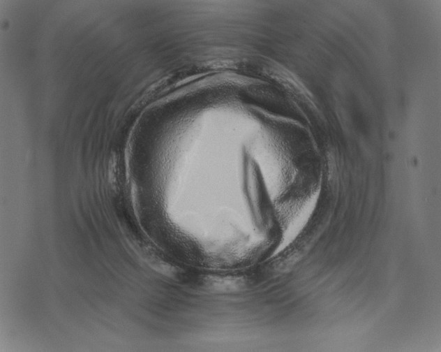 X0000073530073200608211840
