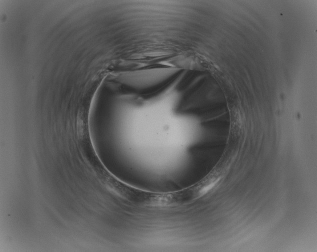 X0000073530080200608211840