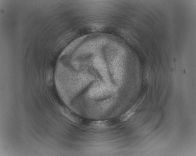 X0000073530082200608211840