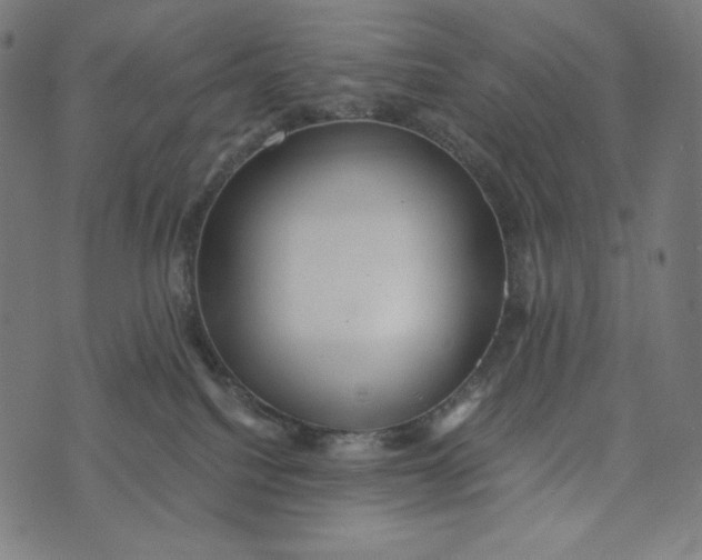 X0000073530088200608211840