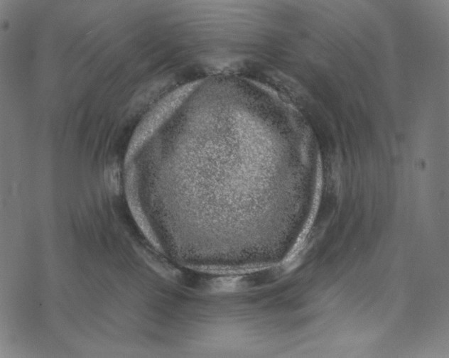 X0000073530090200608211840
