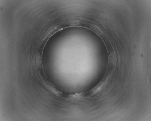 X0000073530092200608211841
