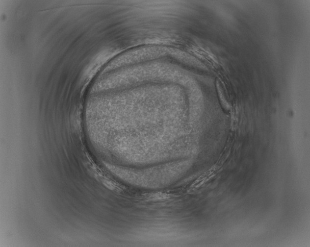 X0000073530098200608211840