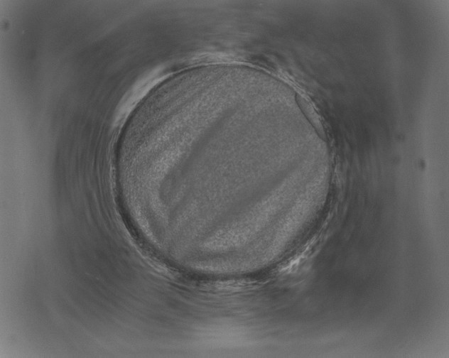 X0000073530103200608211840