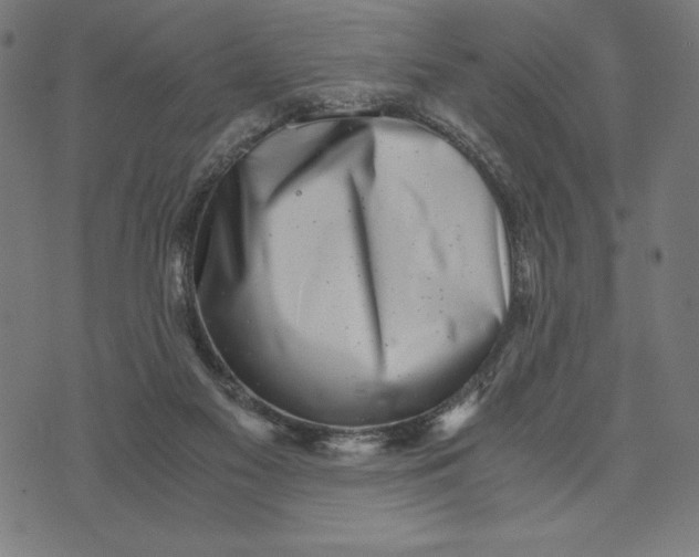 X0000073530117200608211839