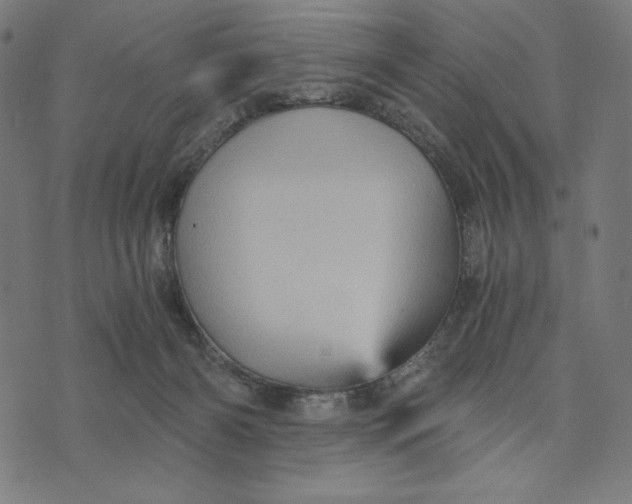 X0000073530126200608211839
