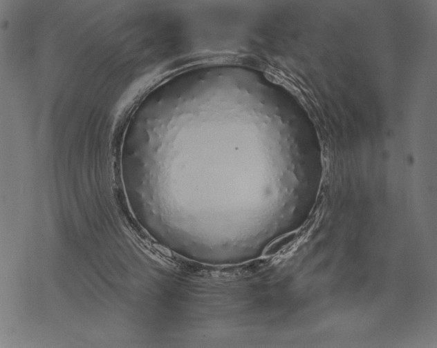 X0000073530149200608211838