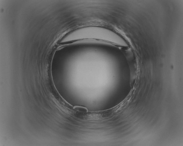 X0000073530154200608211838