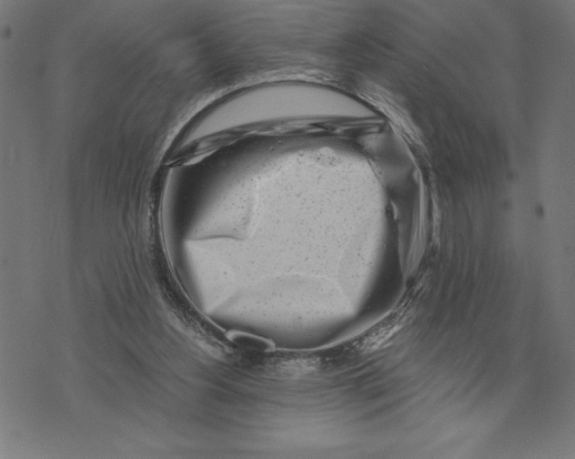 X0000073530156200608211838