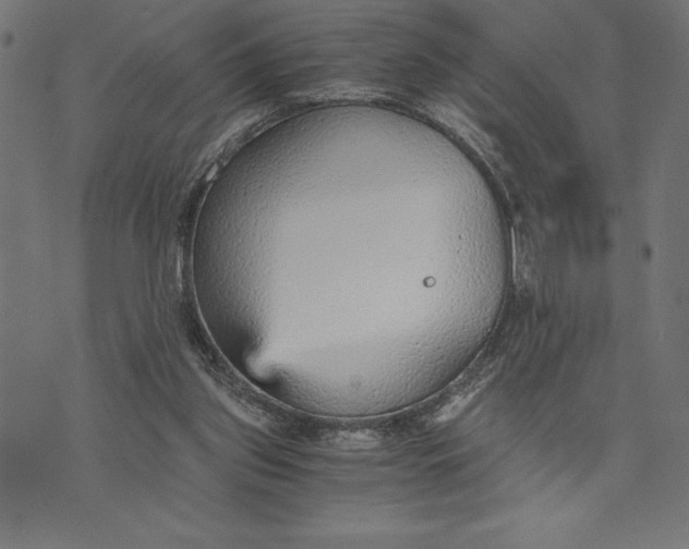 X0000073530157200608211838
