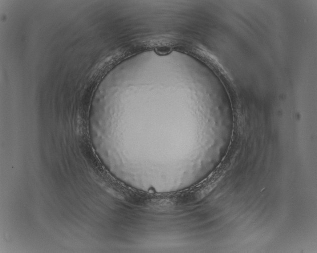 X0000073530161200608211839