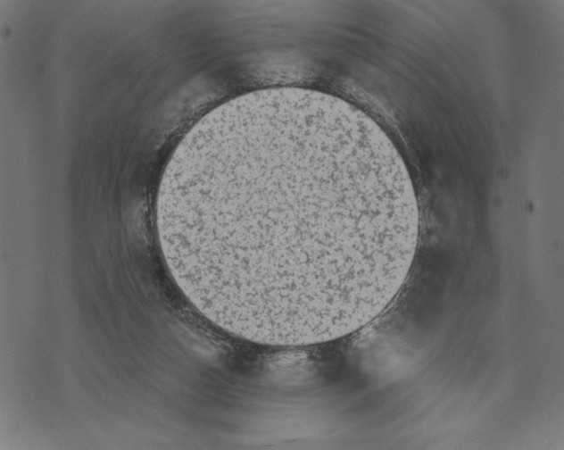 X0000073530162200608211839