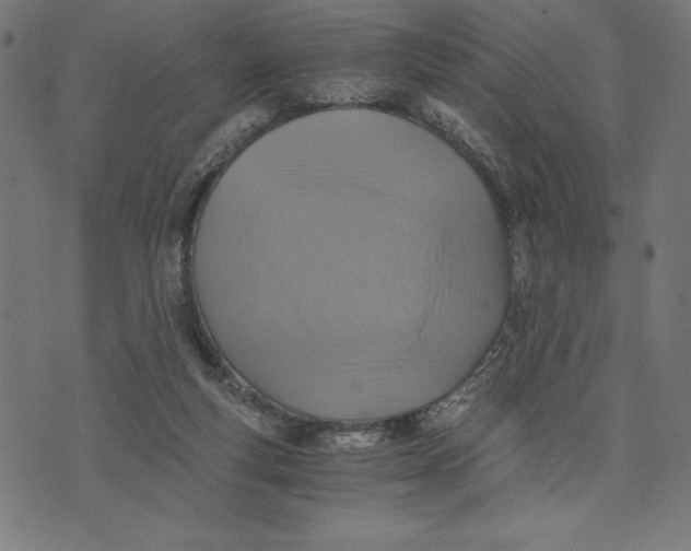X0000073530163200608211839
