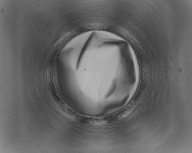 X0000073530165200608211839