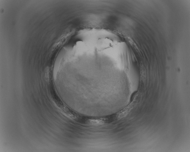 X0000073530167200608211839