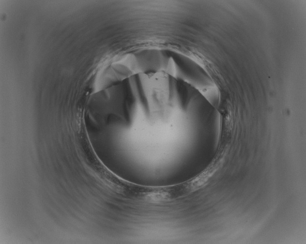 X0000073530168200608211839