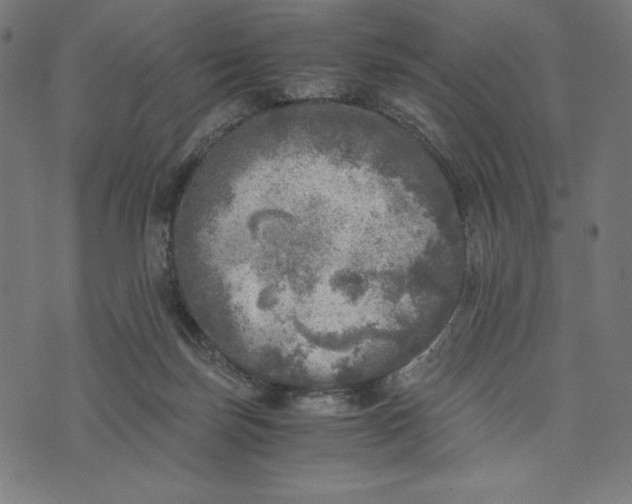 X0000073530171200608211839
