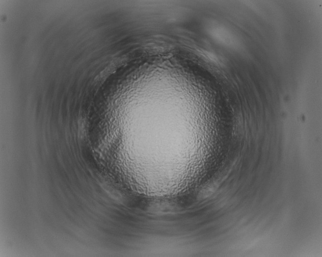 X0000073530177200608211839