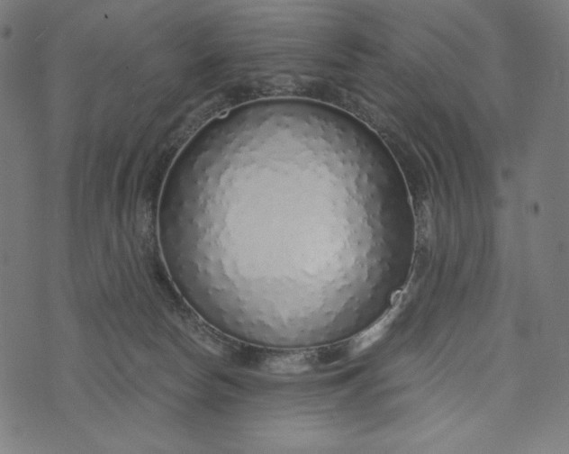 X0000073530178200608211839