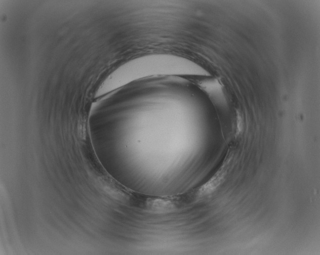 X0000073530180200608211839