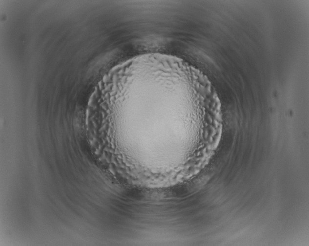 X0000073530181200608211839