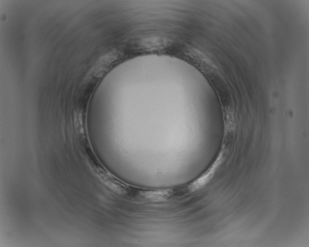 X0000073530182200608211839