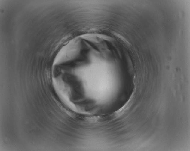 X0000073530192200608211839