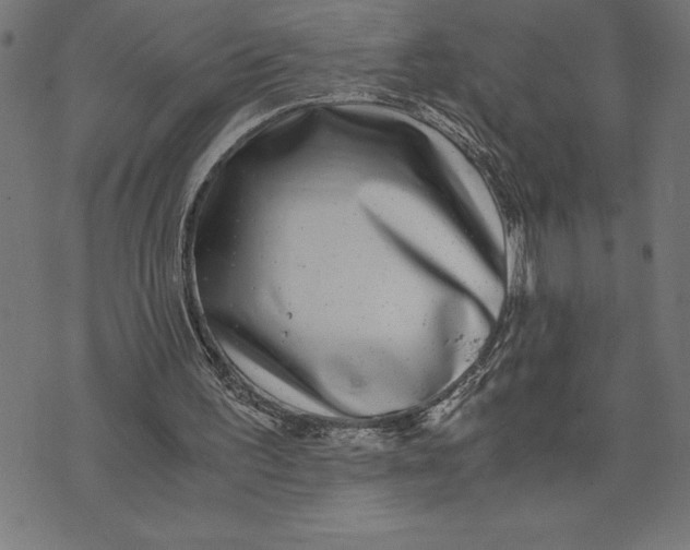 X0000073530195200608211838