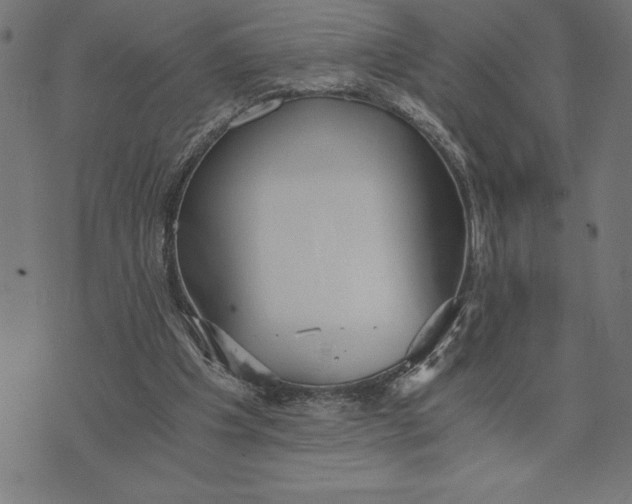 X0000073530201200608211838