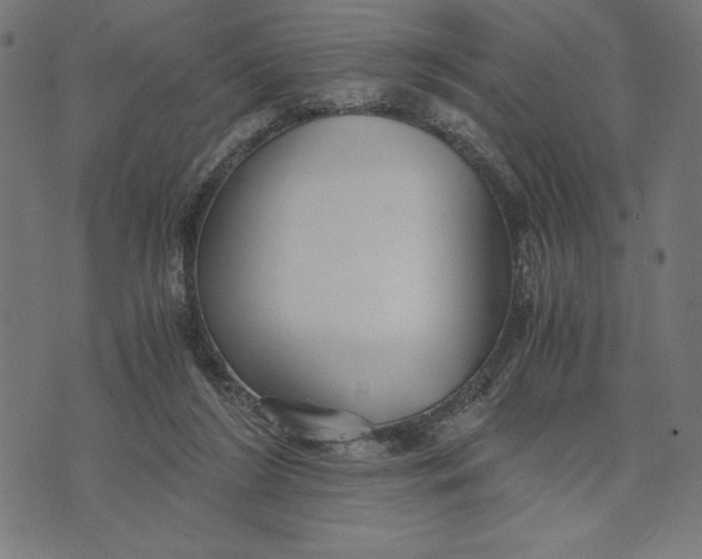 X0000073530212200608211838