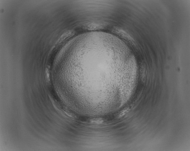 X0000073530214200608211838