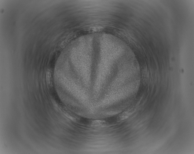 X0000073530222200608211838