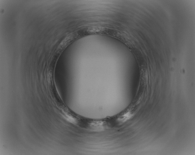 X0000073530227200608211838