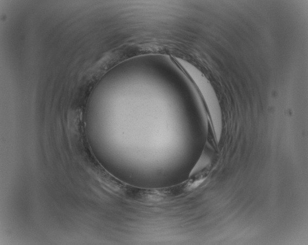 X0000073530229200608211838